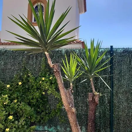 Dwarika, Away From - Private Heated Pool Caleta De Fuste