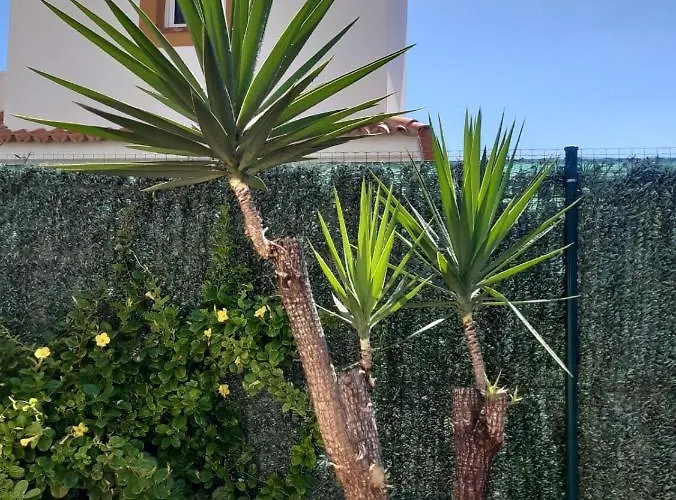 Dwarika, Away From - Private Heated Pool كاليتا ذي فوستي