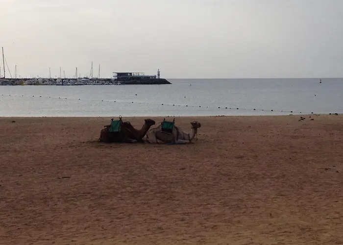 Dwarika, Away From - Private Heated Pool *