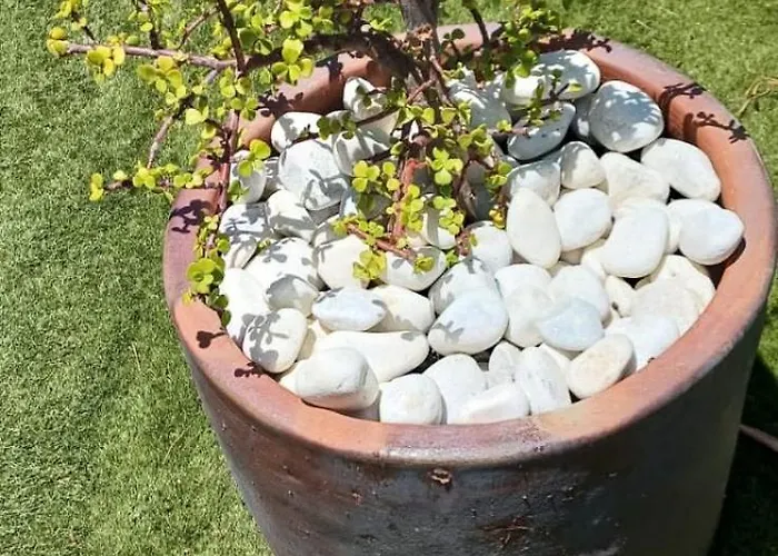 Dwarika, Away From - Private Heated Pool فيلة *