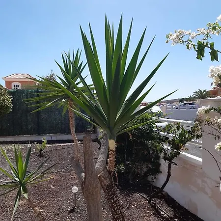 Villa Dwarika, Away From - Private Heated Pool