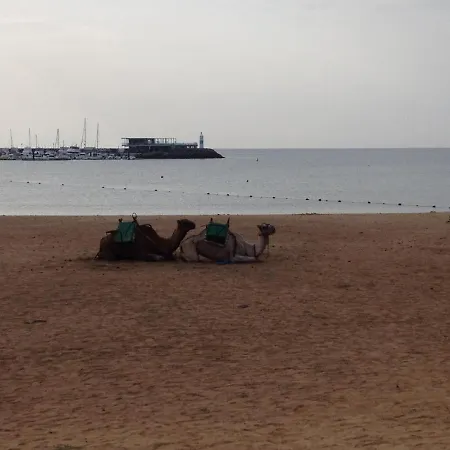 Dwarika, Away From - Private Heated Pool *