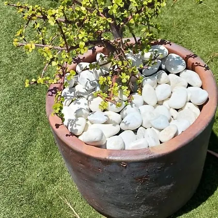 Dwarika, Away From - Private Heated Pool Villa *