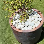 Dwarika, Away From - Private Heated Pool Βίλα *