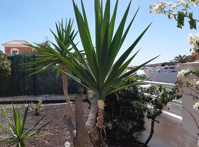 Villa Dwarika, Away From - Private Heated Pool